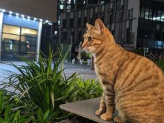 -叁 Three· bistro餐酒馆