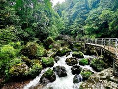 -龙苍沟森林公园