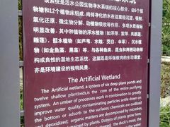 -成都市活水公园