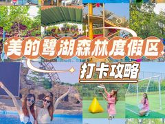-美的鹭湖森林度假区