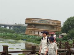 -荷塘月色湿地公园·向阳花洲