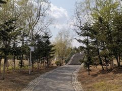 -莫子山公园