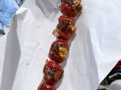 红豆糖葫芦-糖葫芦王保定名吃(古莲花池店)