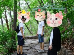 -北京上方山国家森林公园
