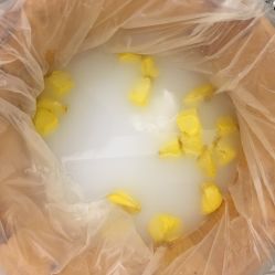 -奥斯芬欧系贵族SPA