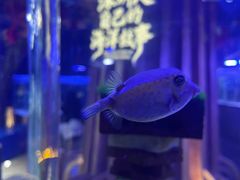 -欢乐海岸海洋奇梦馆