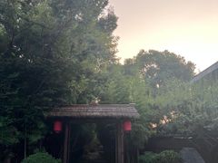 -新荣记(西溪湿地店)