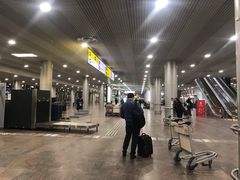 -谢列梅捷沃国际机场