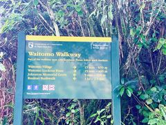 -怀托摩萤火虫洞