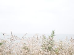 -东极岛景区