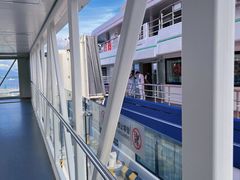 -招商蛇口邮轮母港(观光客运)
