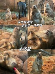 -Zoolung Zoolung动物主题公园(海信广场店)