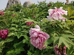 -陕西省西安植物园