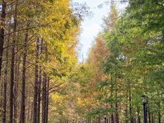 -上海山野camping·户外天幕烧烤·团建拓展营地