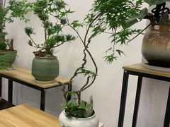 -长春青怡坊鲜花批发(青怡坊花鸟市场店)