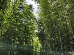 -南山风景名胜区