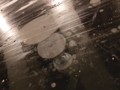 -南湖大桥