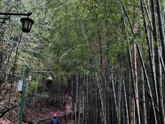 -敬亭山风景名胜区