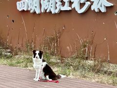 -四明湖