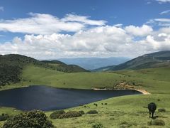 -罗坪山