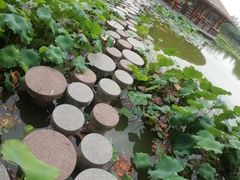 -西安浐灞国家湿地公园