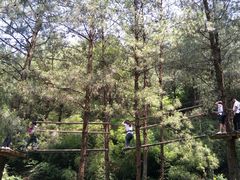 -梦幻奥陶纪景区