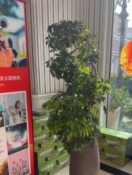 -爱儿美儿童摄影(五路居花园别墅店)