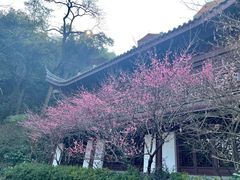 -韬光茶庵