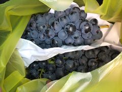 葡萄-江杨农产品批发市场