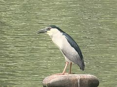 -苏州河梦清园环保主题公园