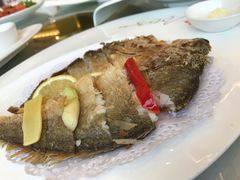 -骏莱海鲜鱼港(五角场店)