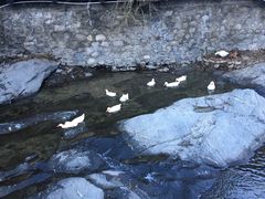 -北京水岸山吧度假村(雁栖镇店)
