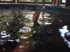 -佛山祈福仙湖酒店