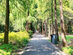 -上海滨江森林公园