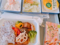 -全日本空输株式会社(上海办事处)