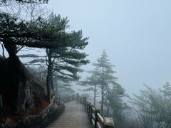 -黄山风景区