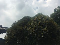 -达蓬山旅游度假区