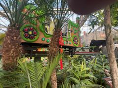 -南宫五洲植物乐园