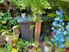 -About Bistro關於·泰式家庭料理