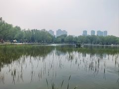-太阳宫公园
