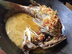 -印象鲵宴·张家界地标美食名片(溪布街店)