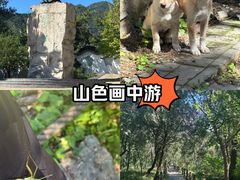 -鹫峰国家森林公园