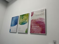 -agge蛋白医美
