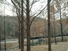 -白水寺森林公园
