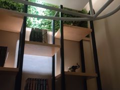 -豪爵足道·SPA(二七路店)