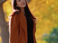-三里屯东五街银杏大道