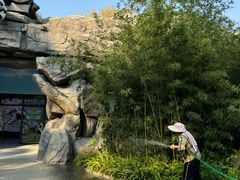 -柳州市动物园