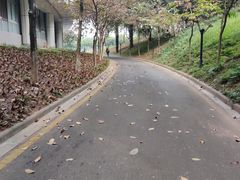 -华南师范大学(广州大学城校区)