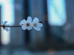 -安远门(地铁站)