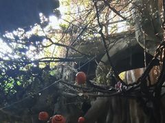-横店影视城梦幻谷园区